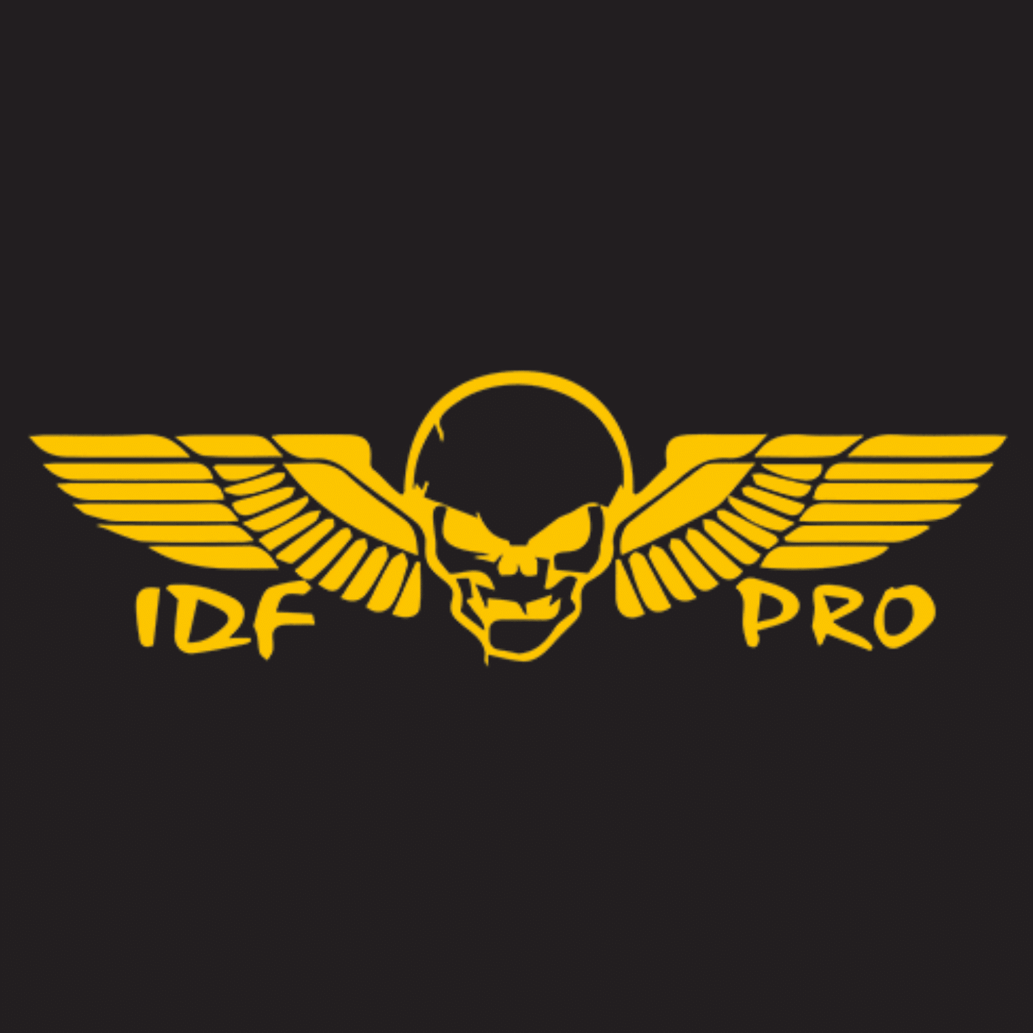 לוחמים ישראל \ IDF PRO