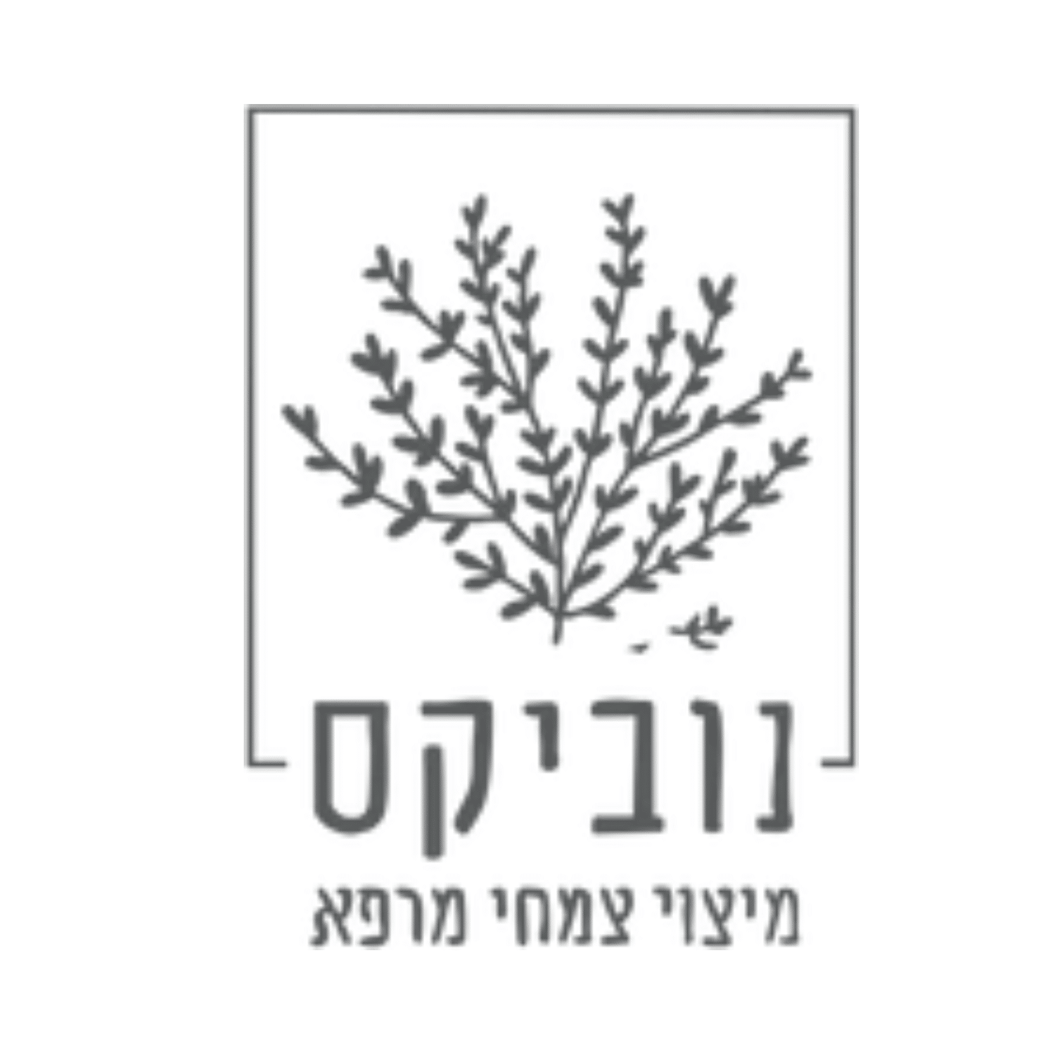 נוביקס