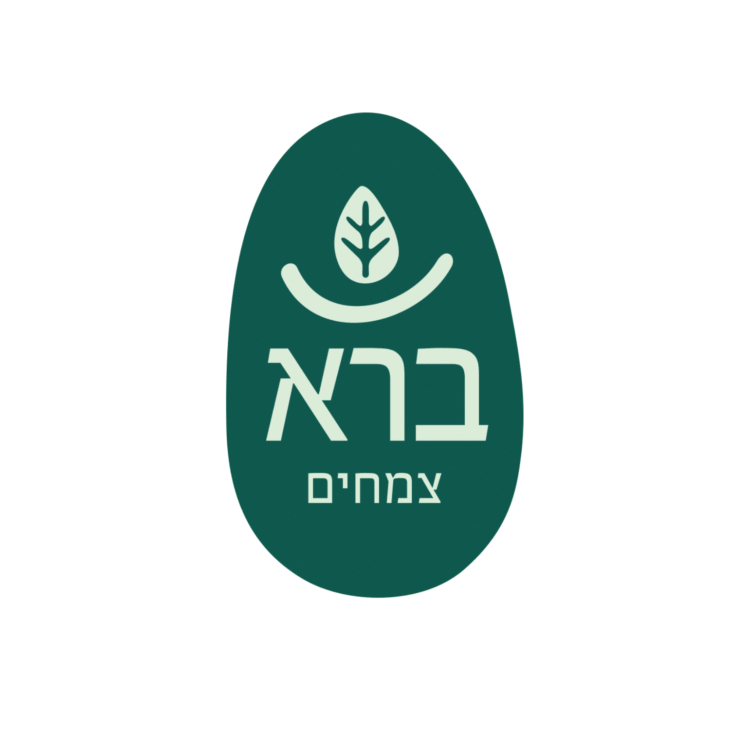 ברא